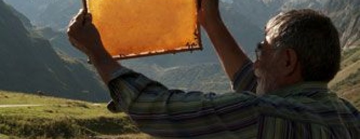 news-details